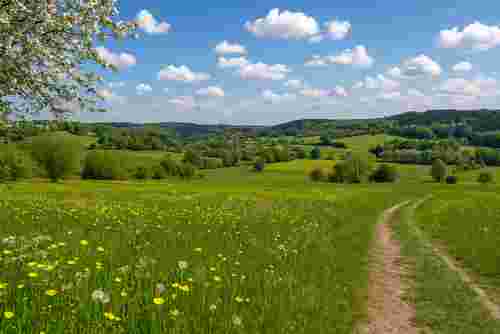 Weite Frühlingslandschaft mit gelb blühender Wiese, sanften Hügeln, grünen Bäumen und blauem Himmel mit weißen Wolken im Bergischen Land.