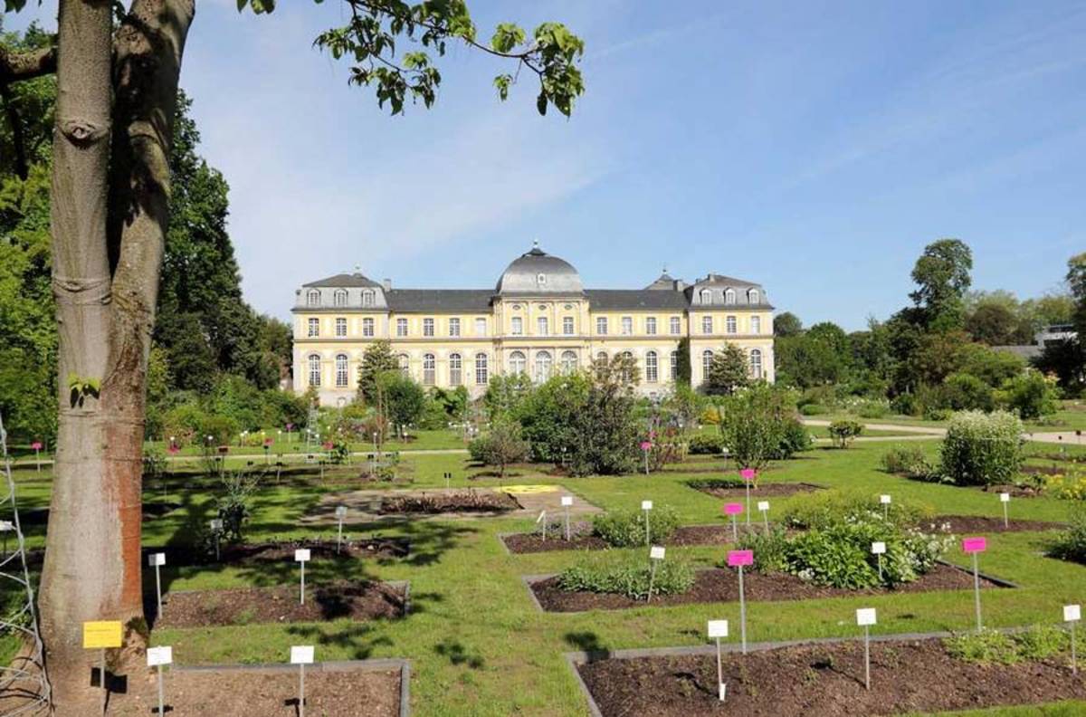 Ogród Botaniczny w Bonn