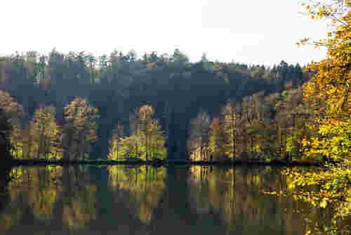 Neunkirchen-Seelscheid: die Wahnbachtalsperre im Herbst