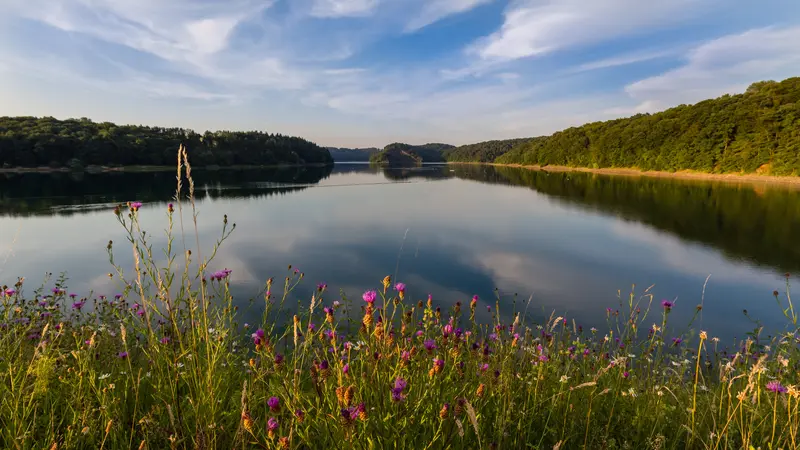 Seeidylle mit bunten Wildblumen im Vordergrund.