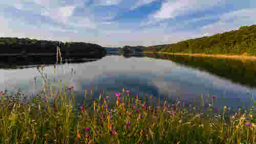 Seeidylle mit bunten Wildblumen im Vordergrund. Seeidylle mit bunten Wildblumen im Vordergrund.