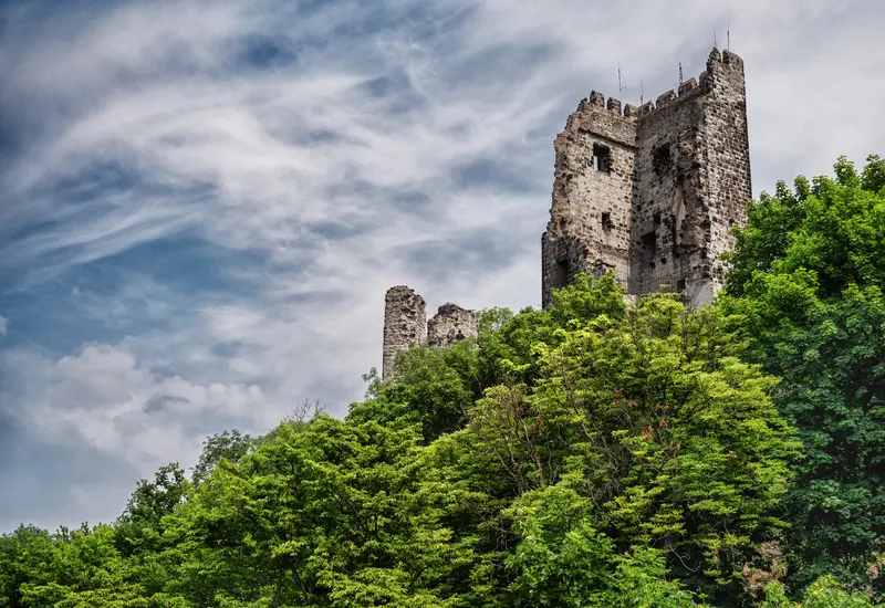 Das Bild zeigt die Ruine einer alten Burg über grünen Bäumen vor bewölktem Himmel.